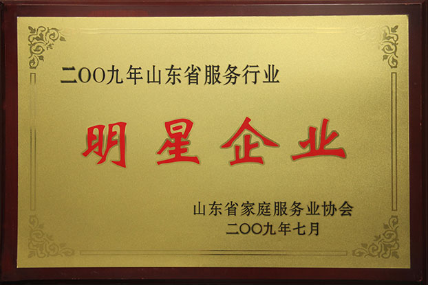 淄博家政、保潔月嫂