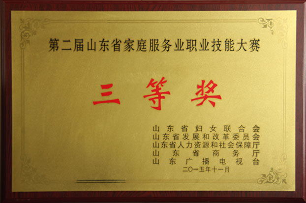 淄博家政、保潔月嫂